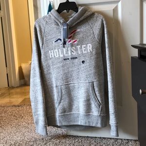 Hollister hoodie